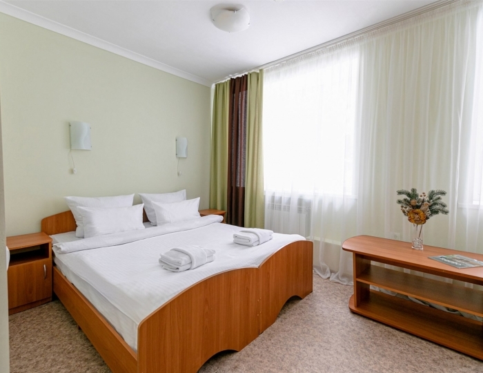 Стандарт 2-местный 1-комнатный - Санаторий «Лесники» Усть-Утяк